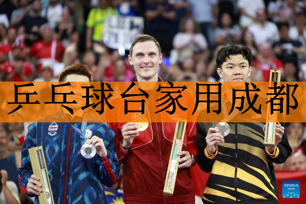 <strong>乒乓球台家用成都</strong>