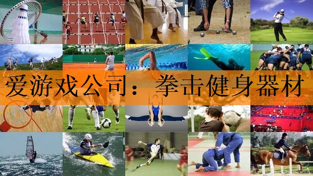 <strong>爱游戏公司：拳击健身器材</strong>
