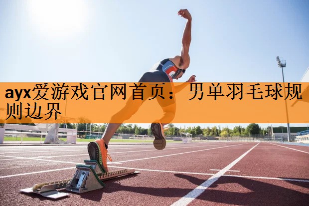 男单羽毛球规则边界